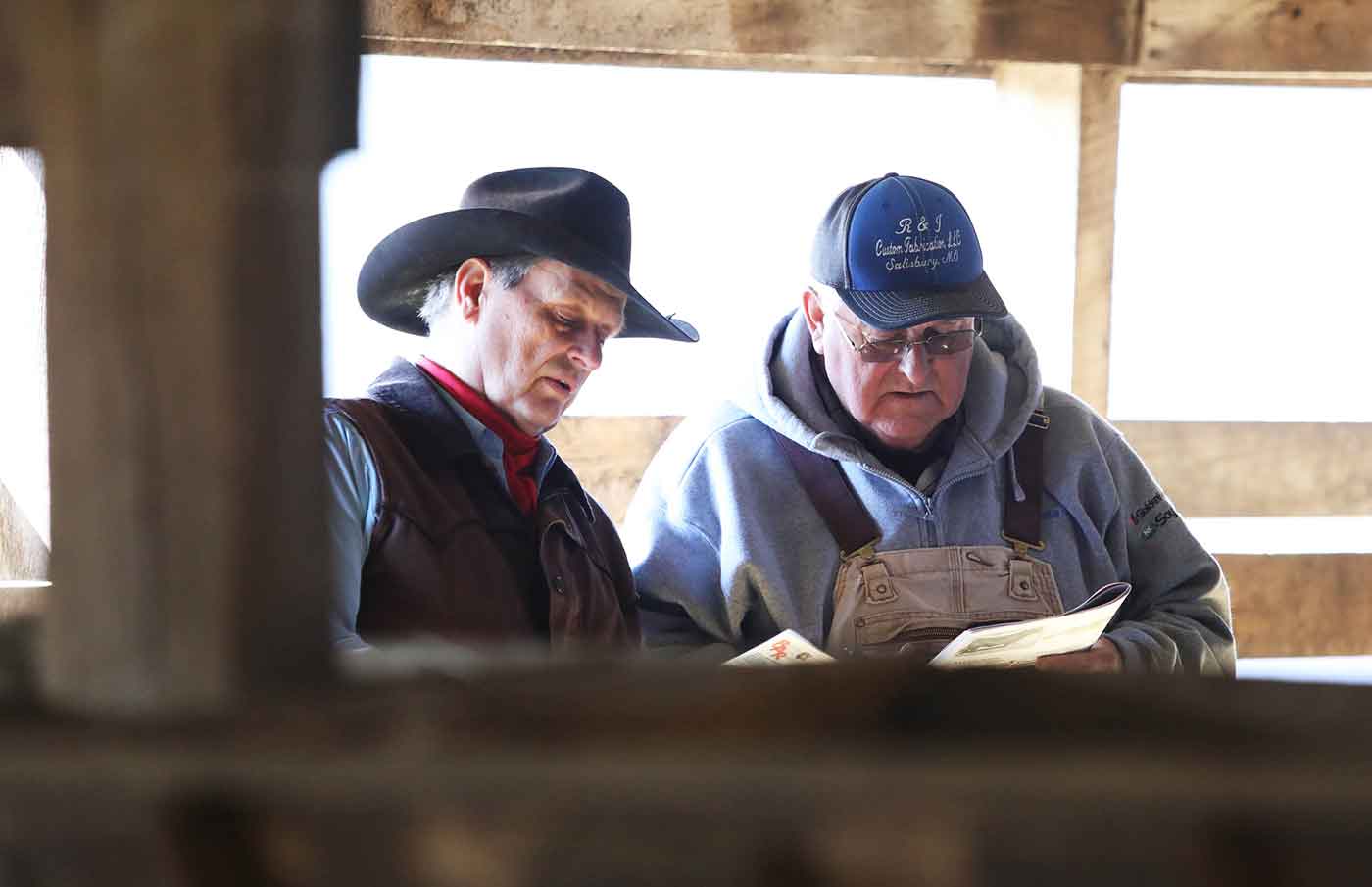 2019 Bull Sale Photo