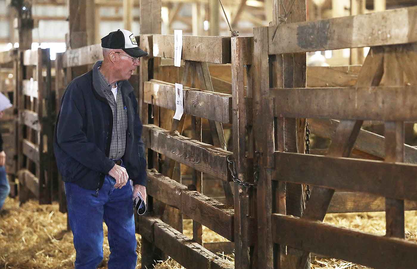 2019 Bull Sale Photo