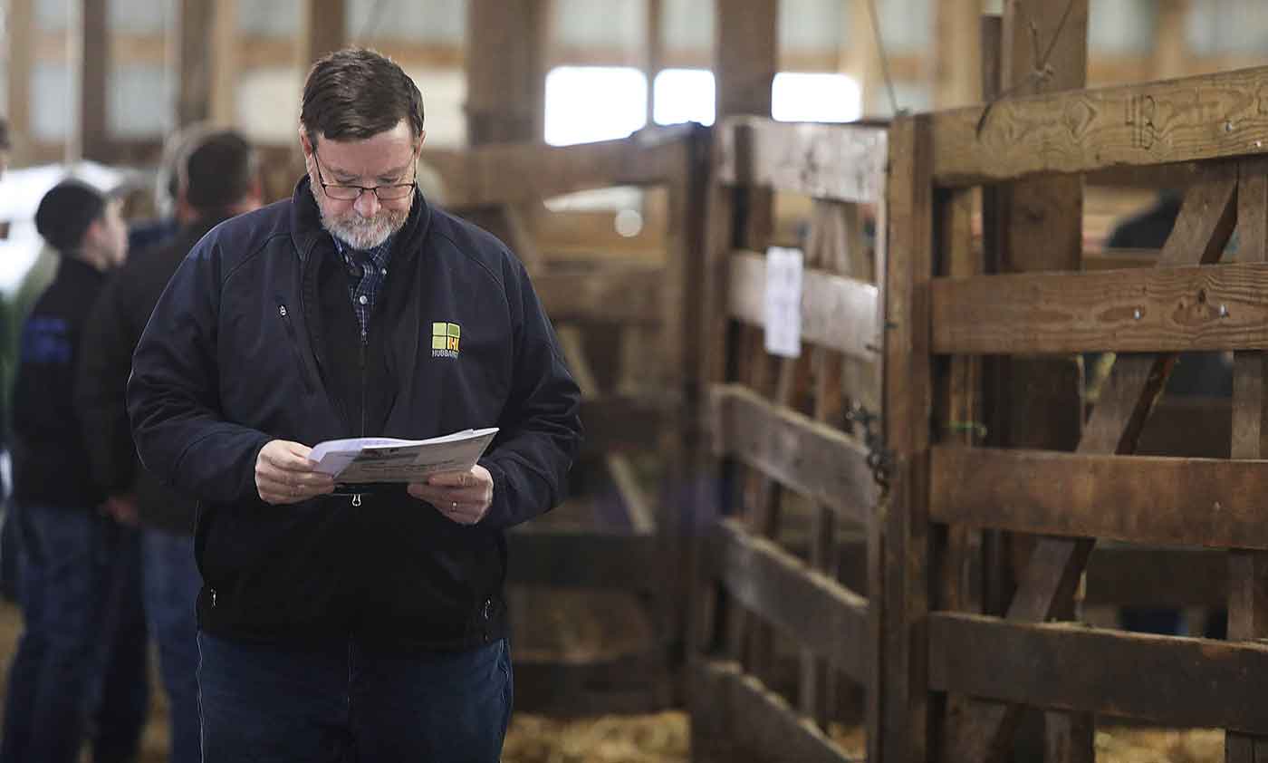 2019 Bull Sale Photo