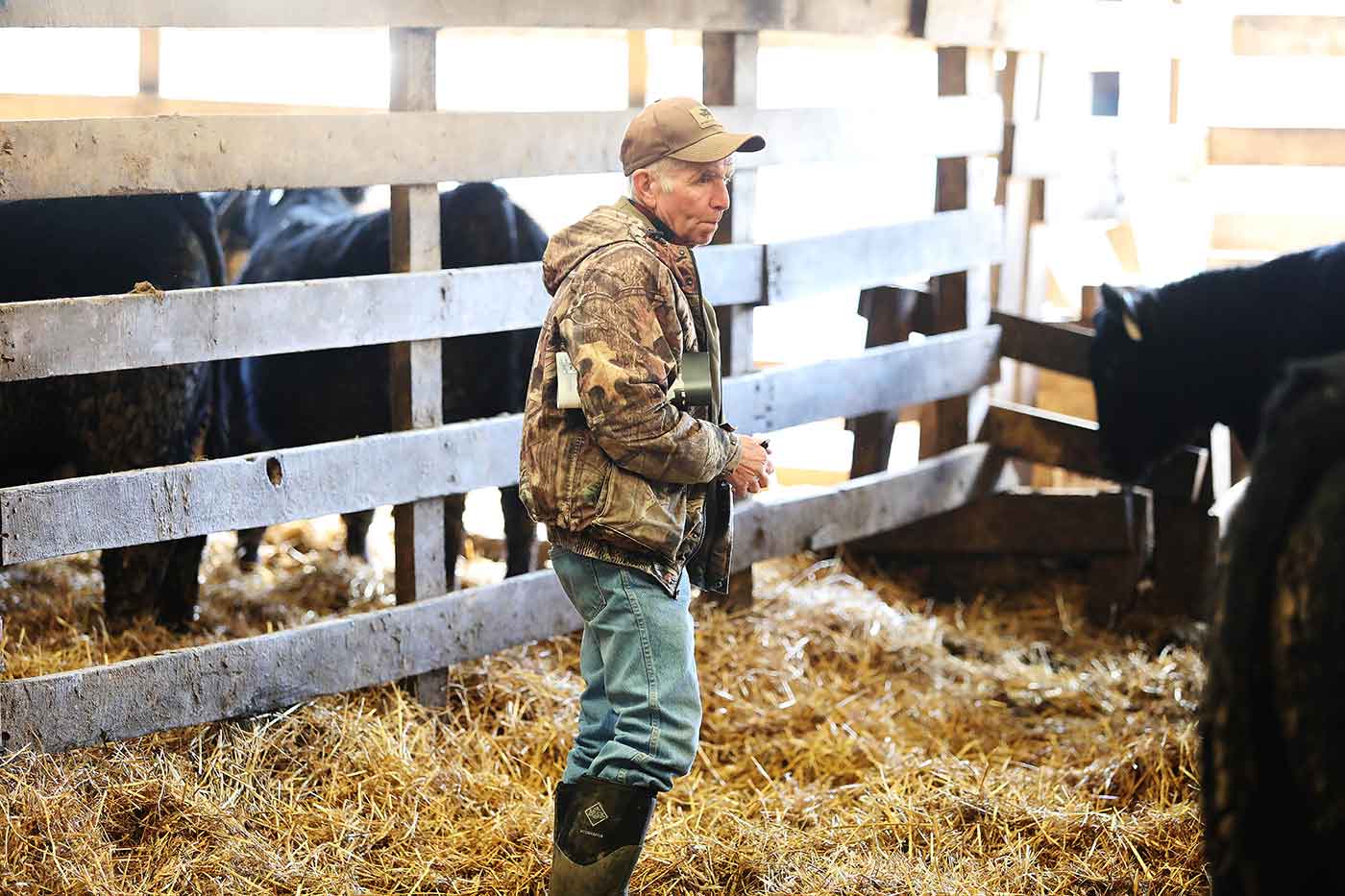 2019 Bull Sale Photo