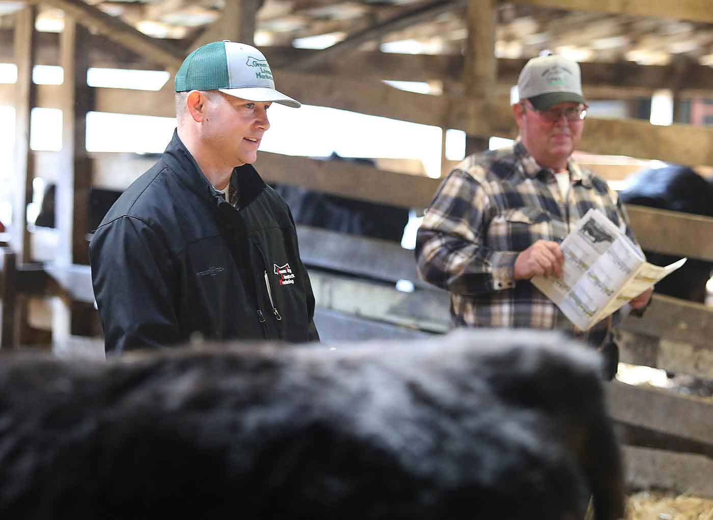 2019 Bull Sale Photo