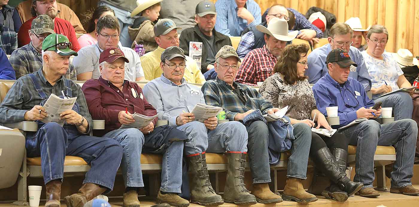 2019 Bull Sale Photo