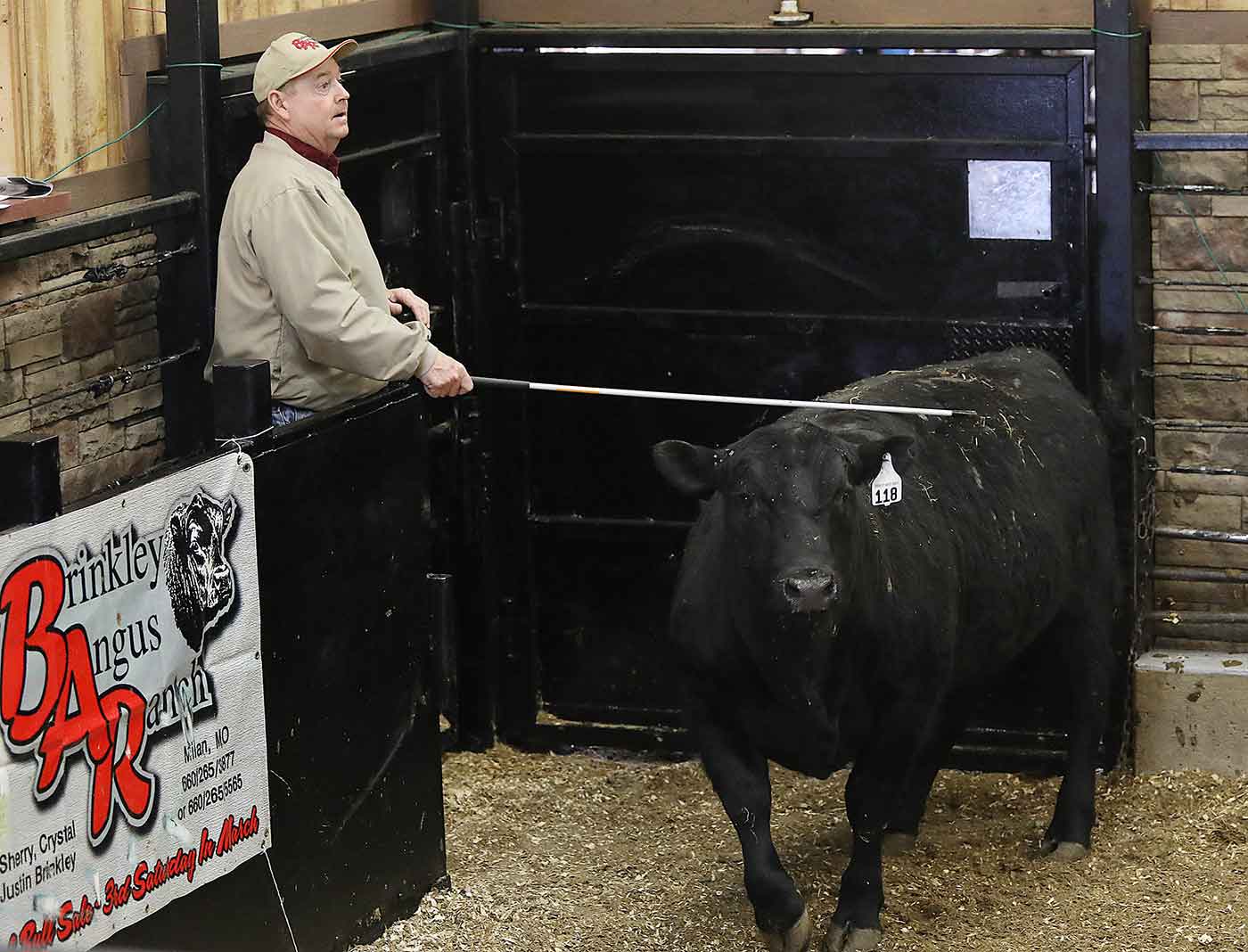 2019 Bull Sale Photo