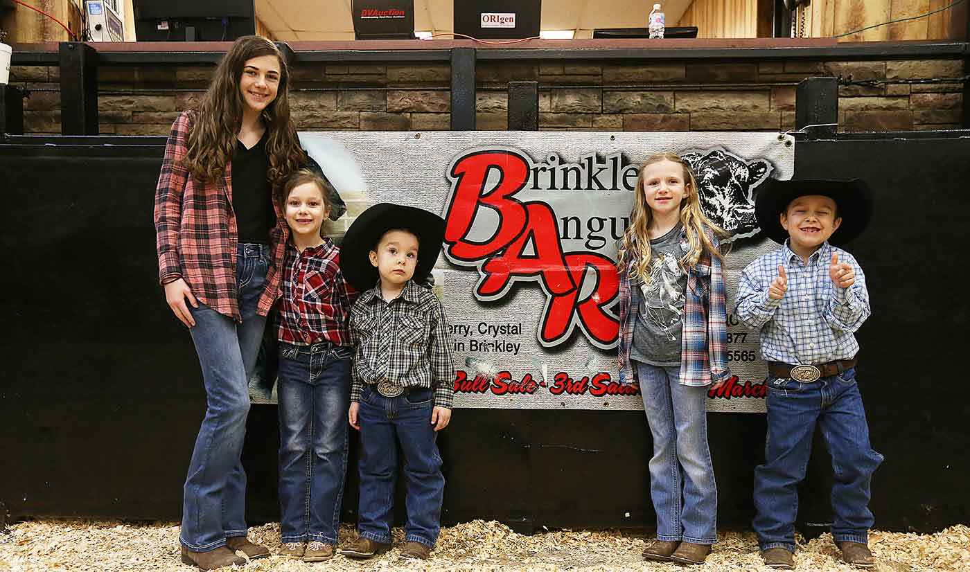 2019 Bull Sale Photo