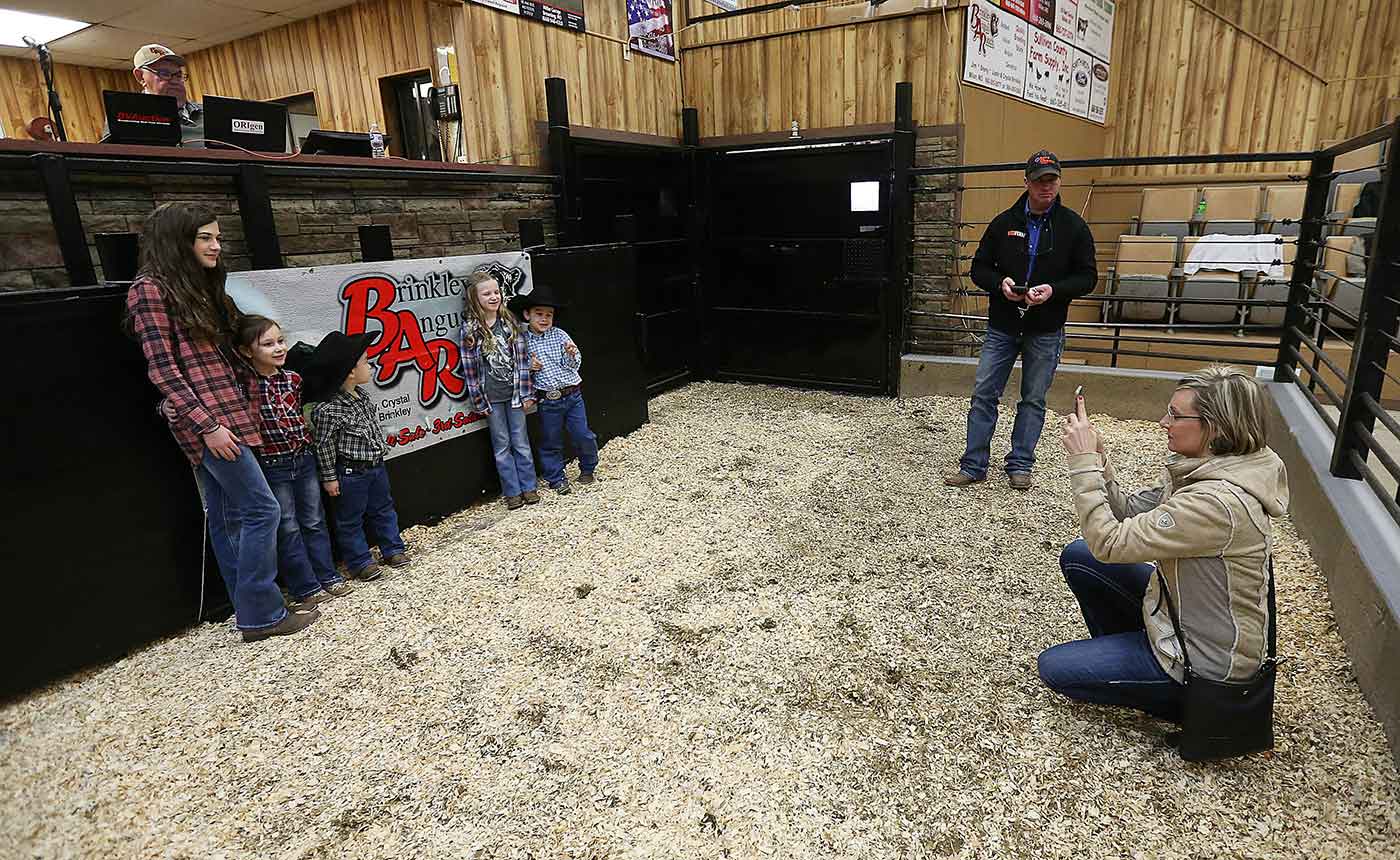 2019 Bull Sale Photo