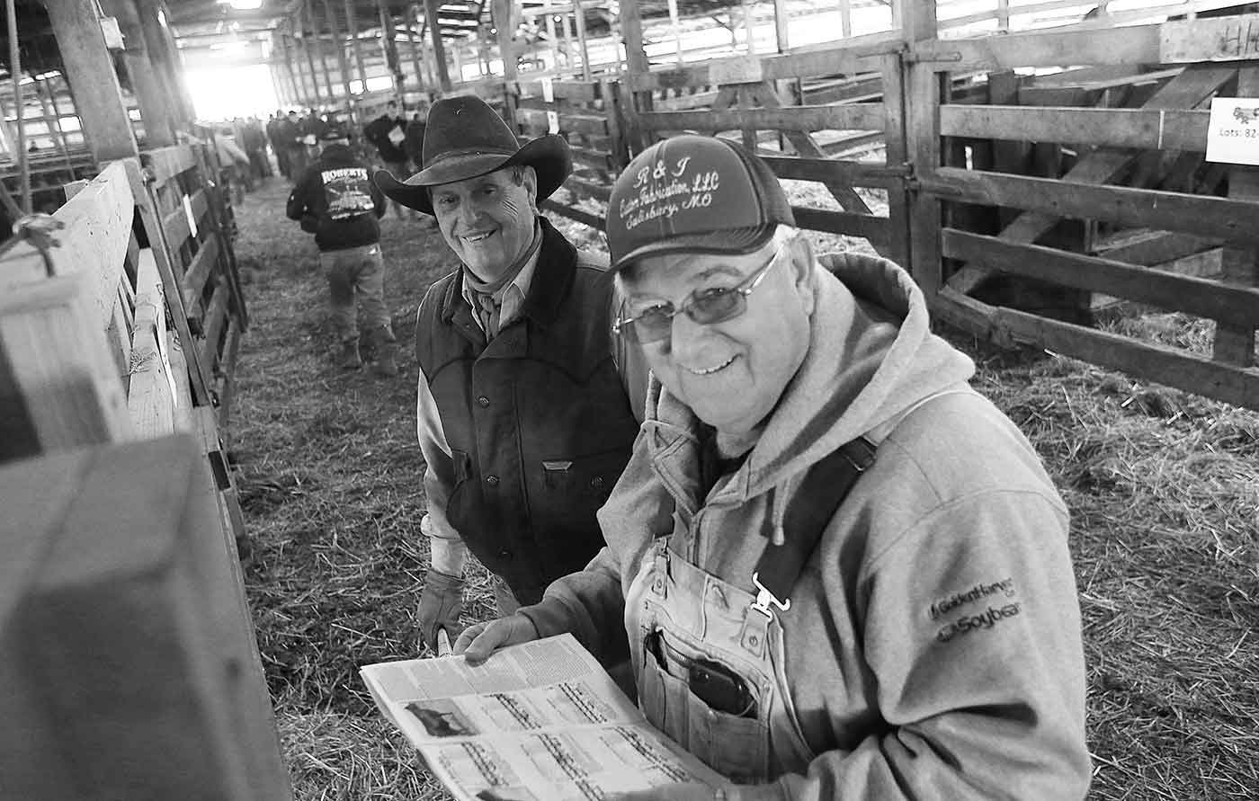 2019 Bull Sale Photo