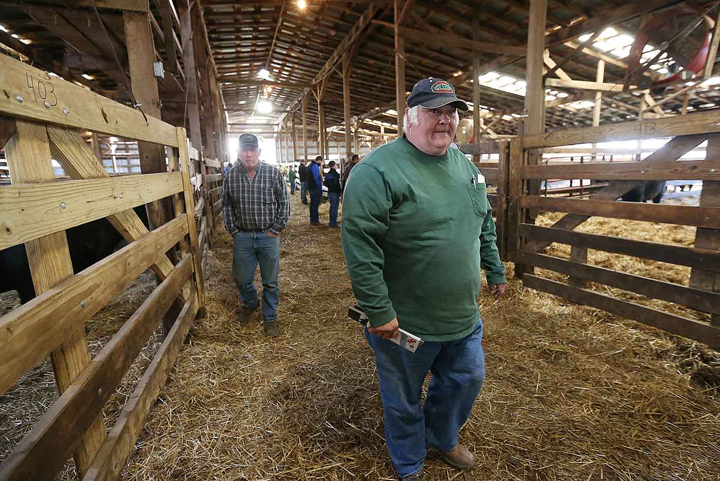 2019 Bull Sale Photo