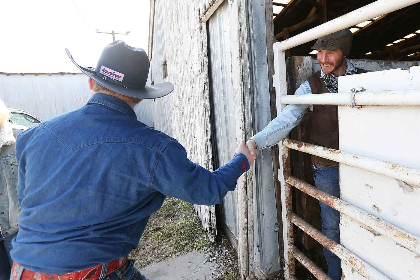 2019 Bull Sale Photo