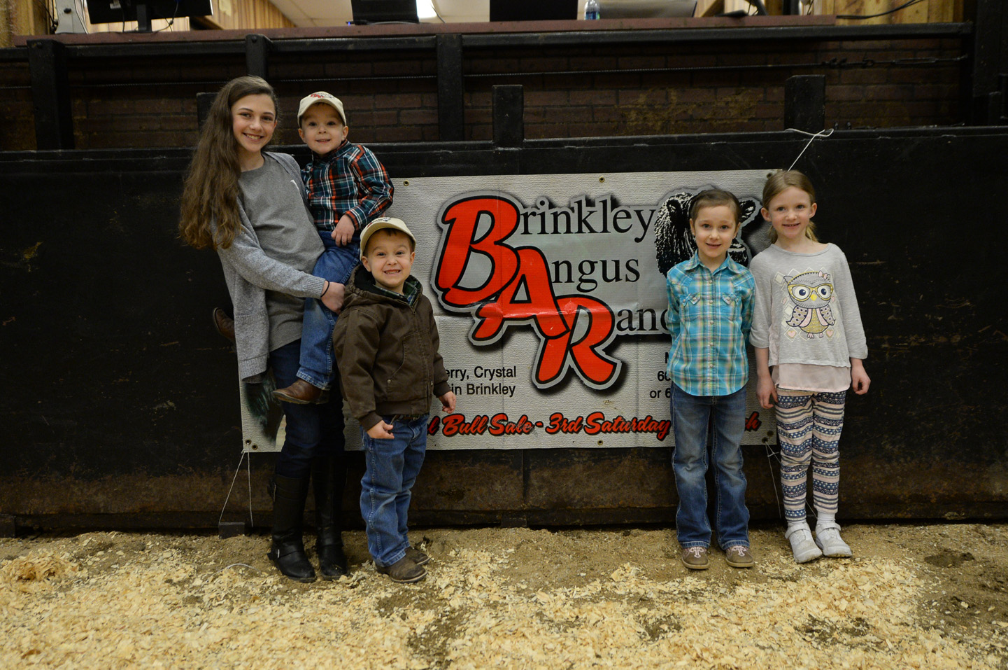 2018 Bull Sale Photo