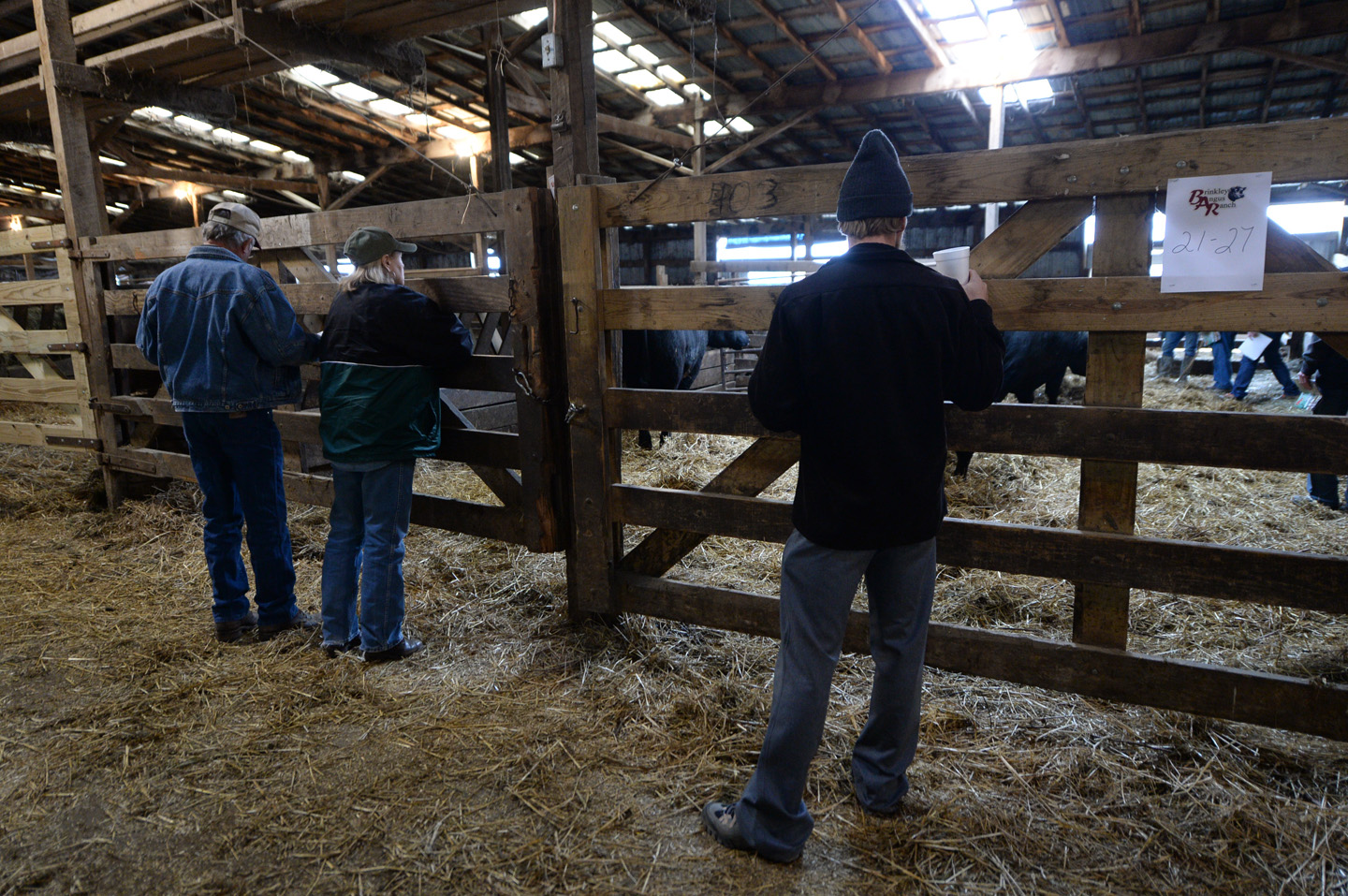 2018 Bull Sale Photo