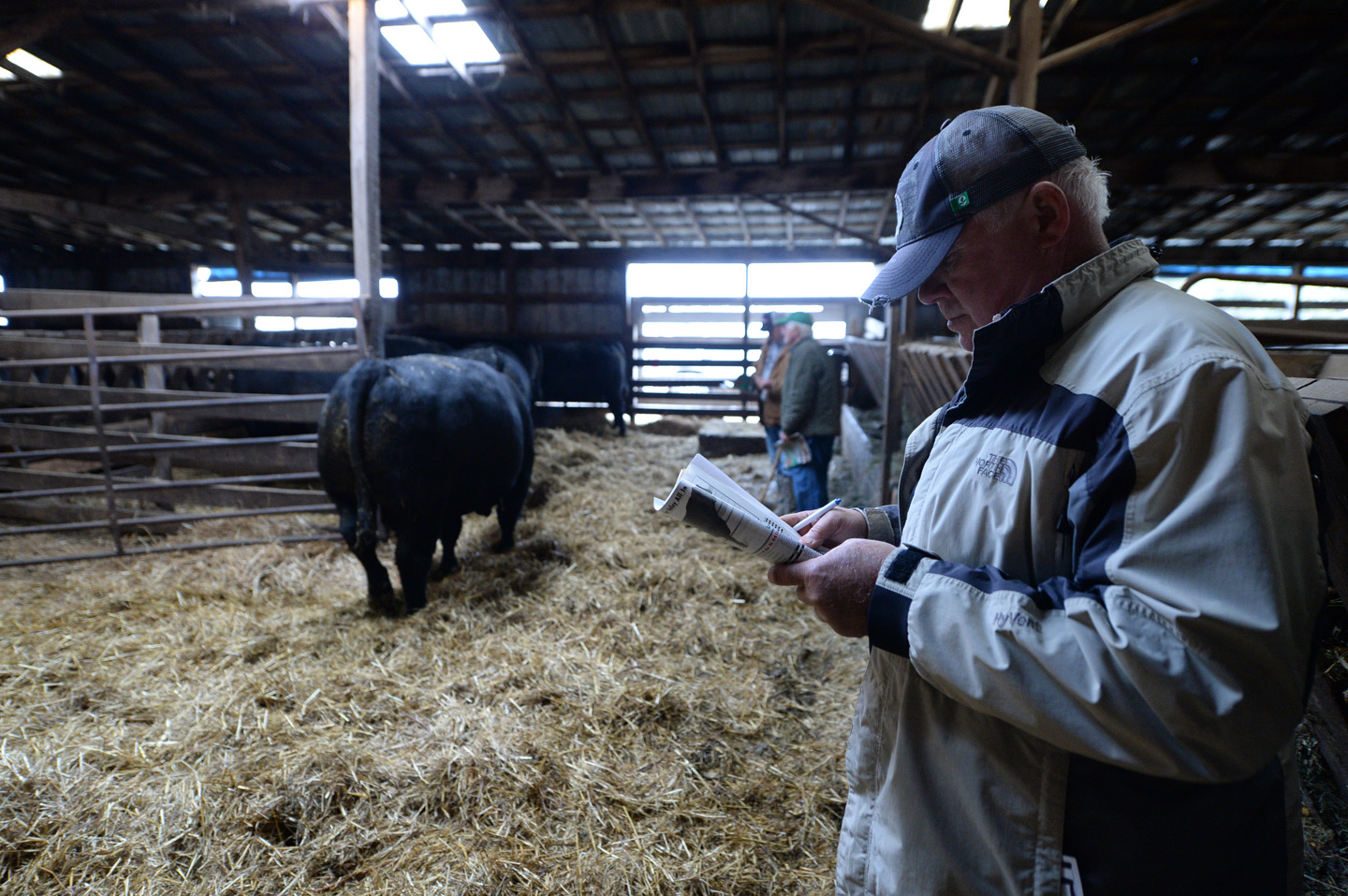 2018 Bull Sale Photo