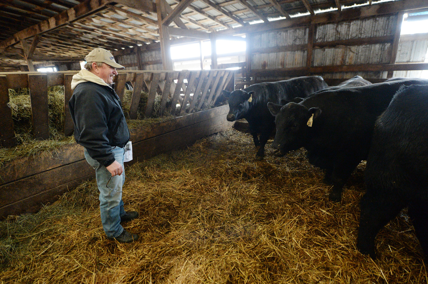 2018 Bull Sale Photo