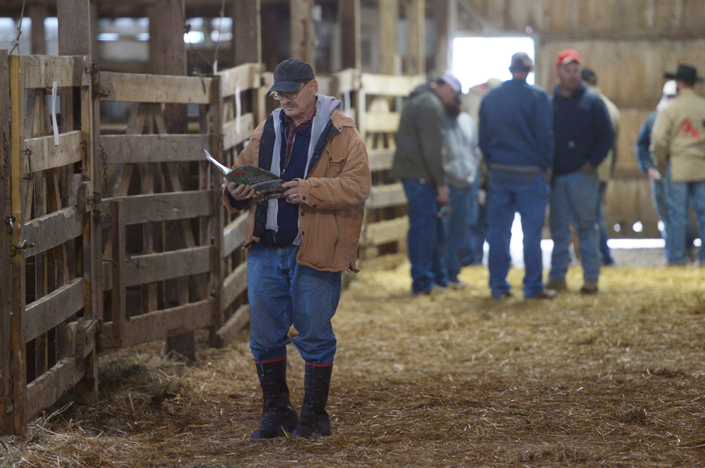 2018 Bull Sale Photo