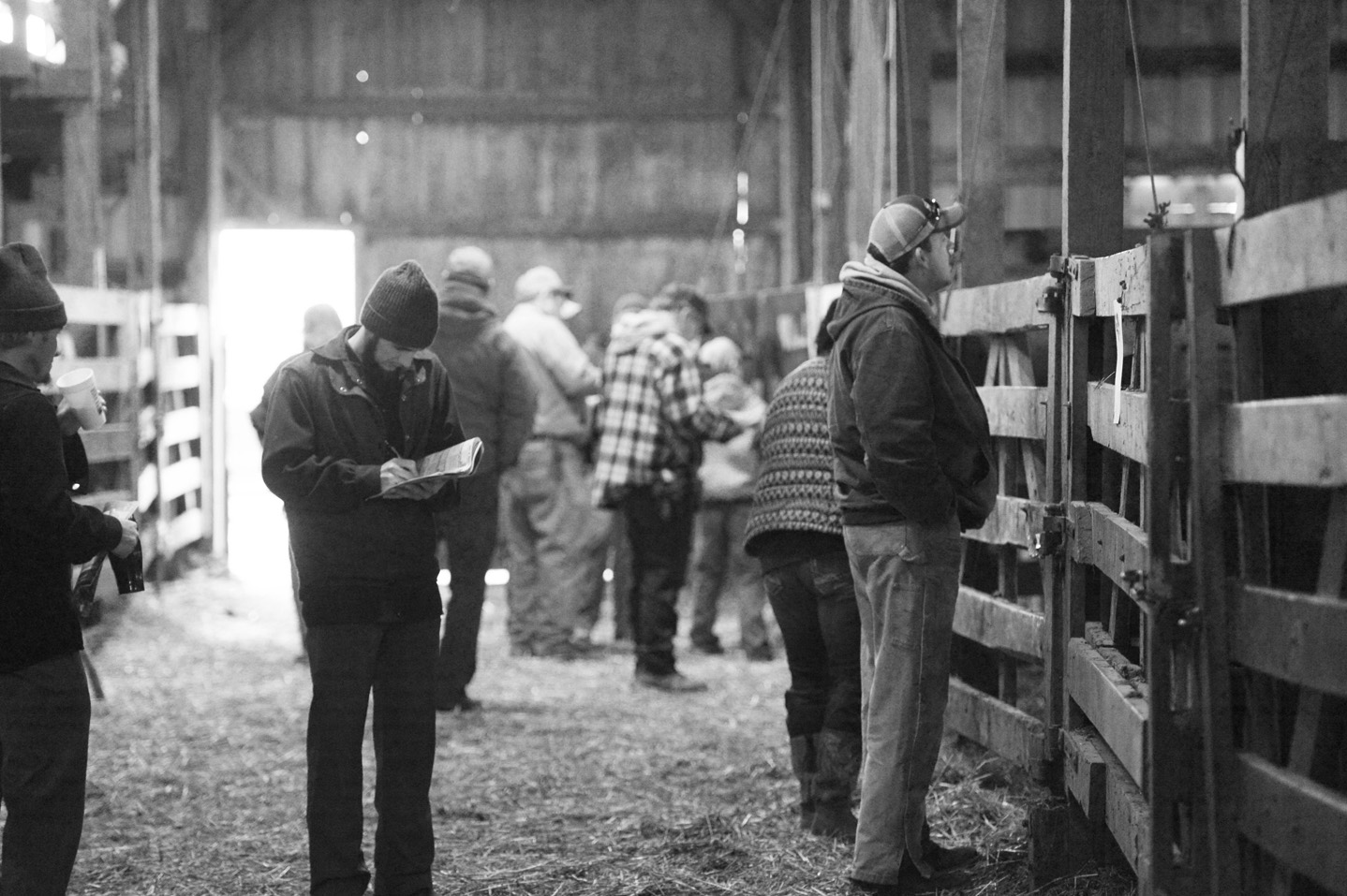 2018 Bull Sale Photo