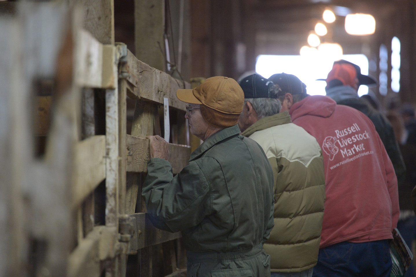 2018 Bull Sale Photo