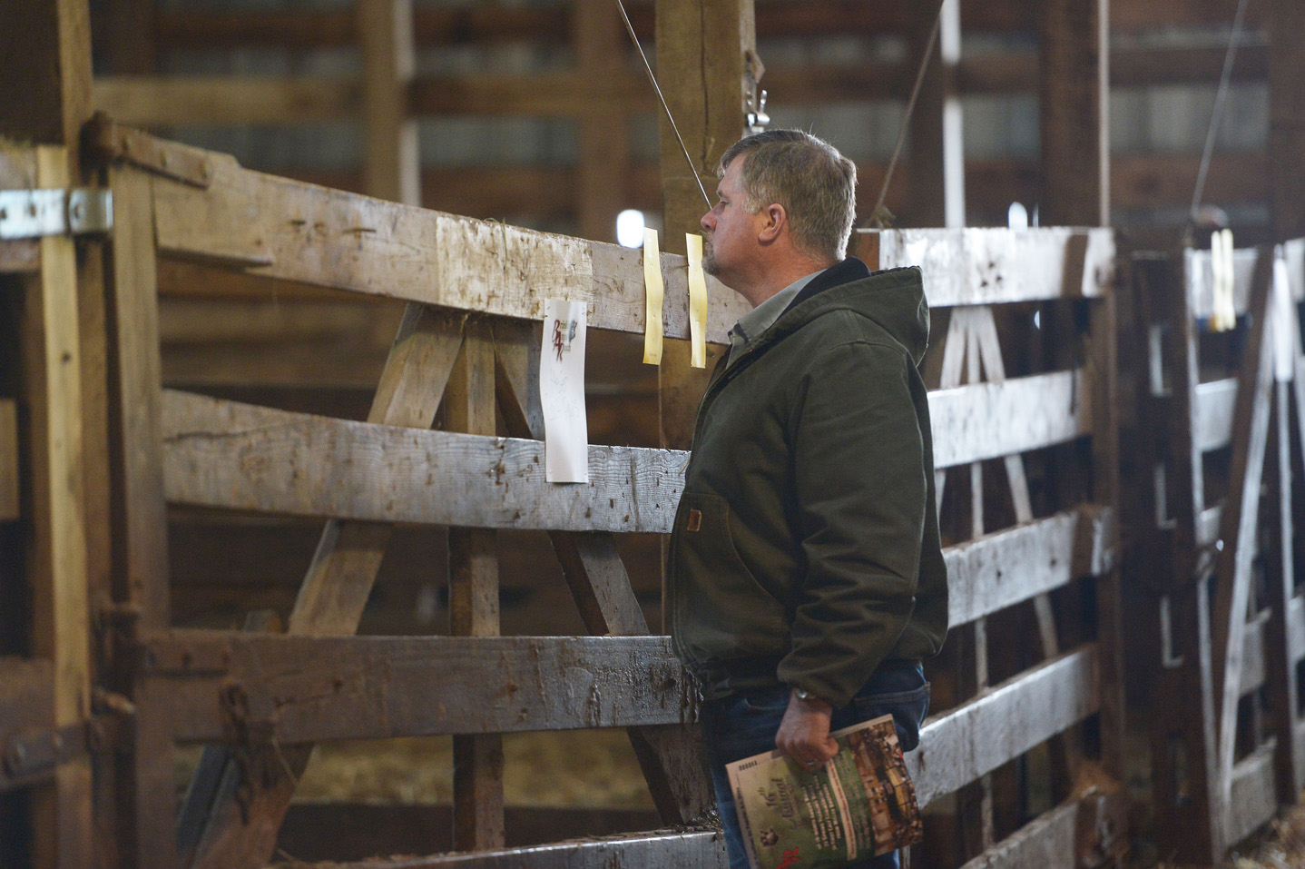 2018 Bull Sale Photo