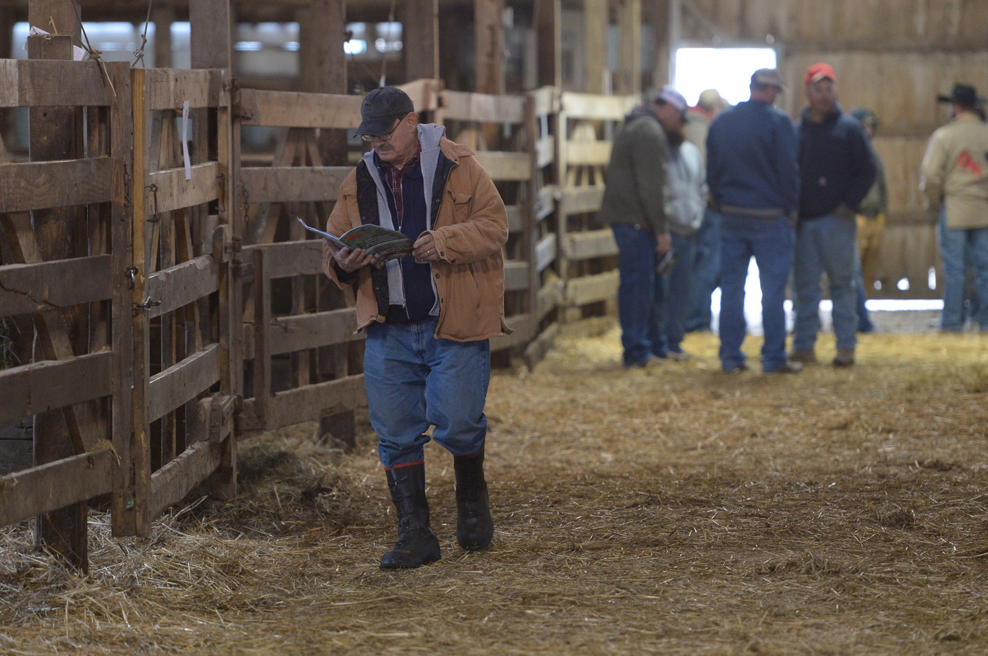 2018 Bull Sale Photo