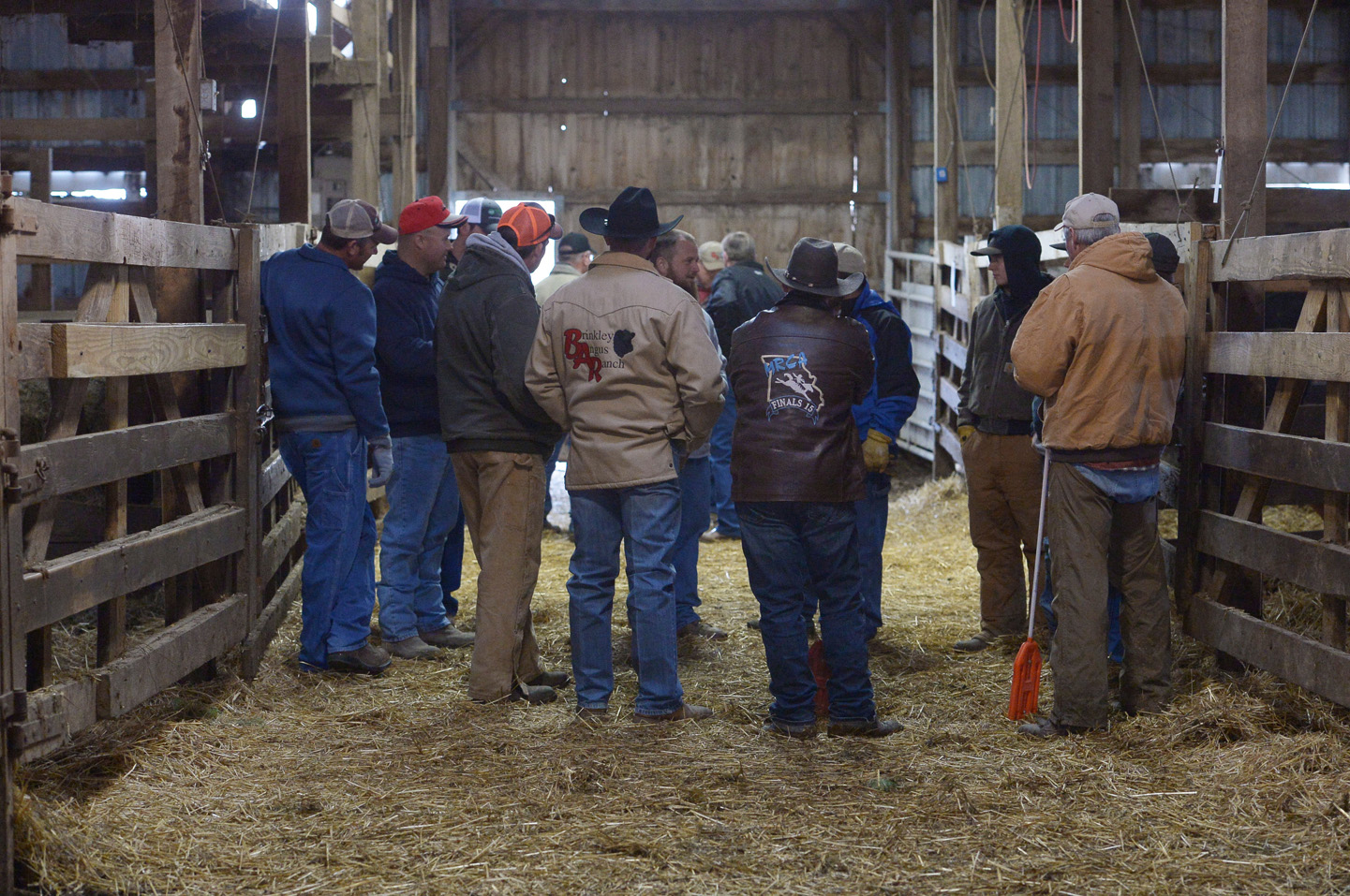 2018 Bull Sale Photo