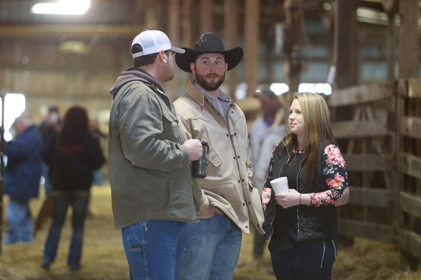 2018 Bull Sale Photo