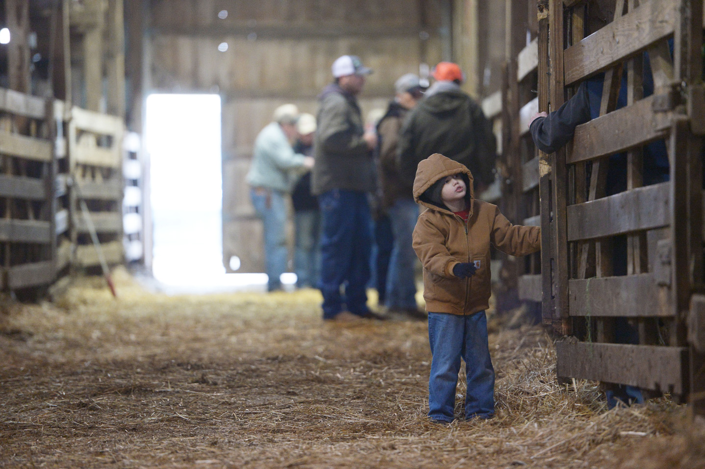 2018 Bull Sale Photo