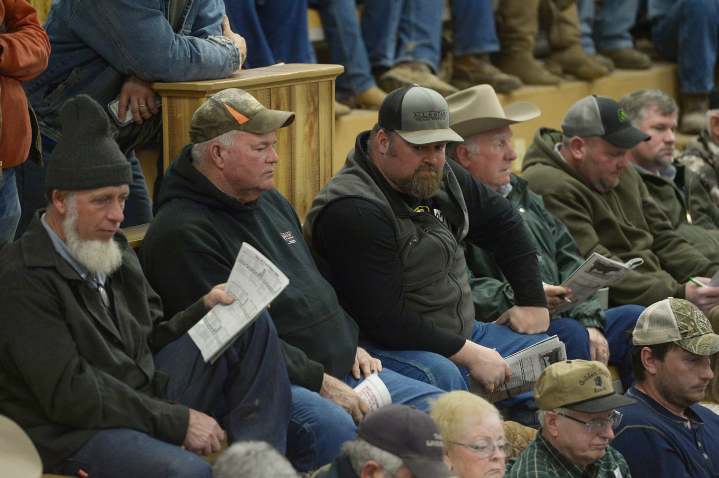 2018 Bull Sale Photo