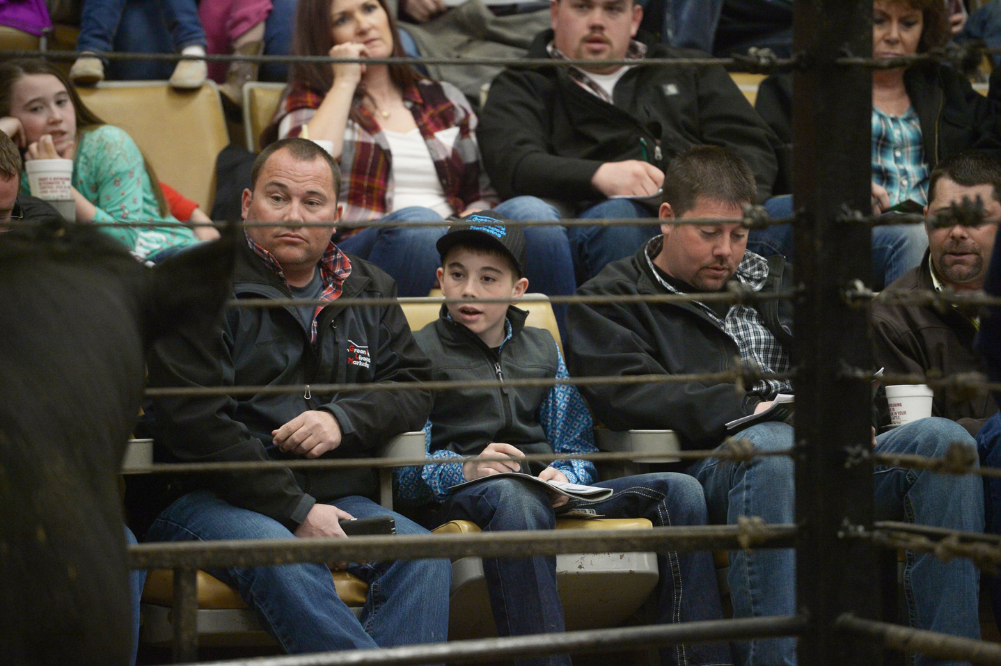 2018 Bull Sale Photo