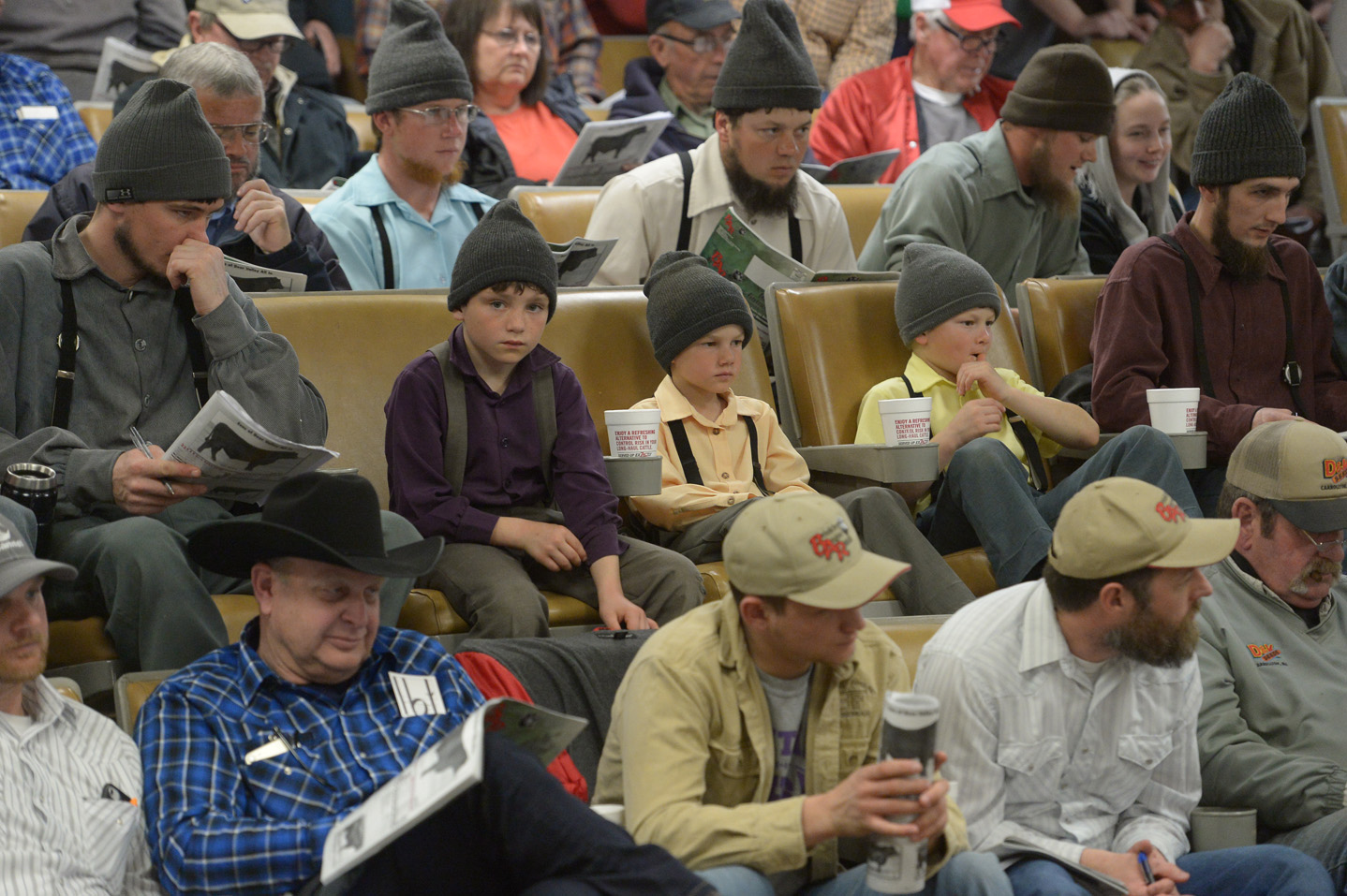 2018 Bull Sale Photo