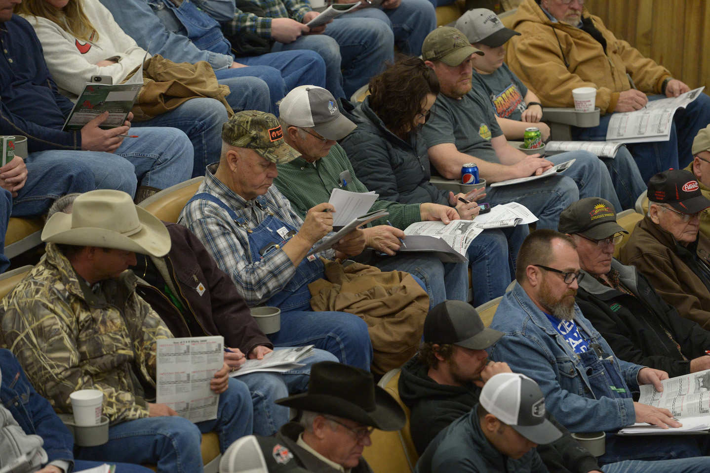 2018 Bull Sale Photo