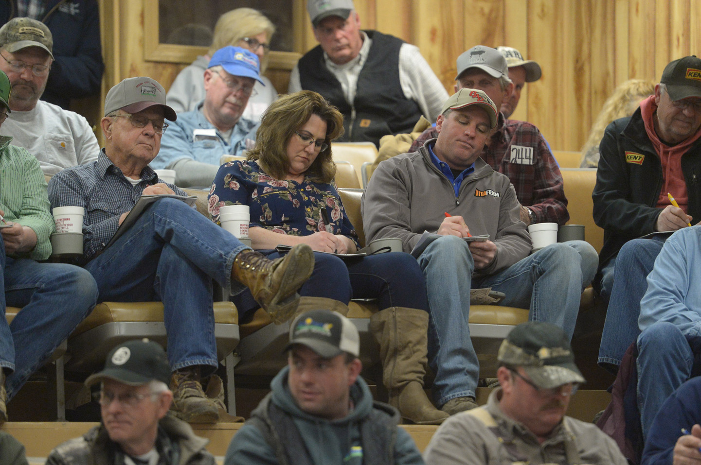 2018 Bull Sale Photo