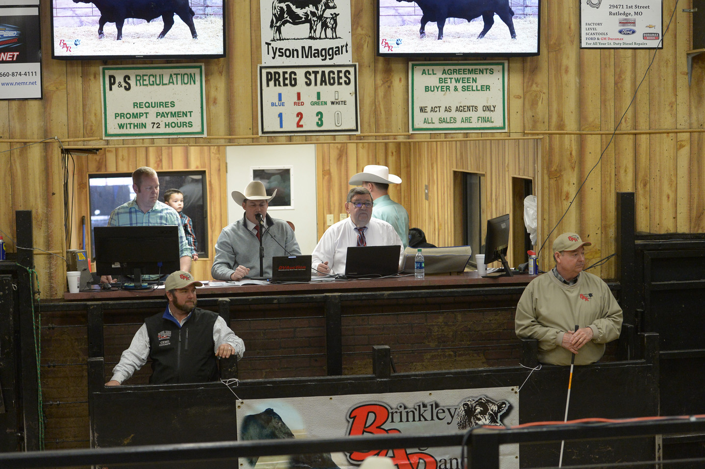 2018 Bull Sale Photo