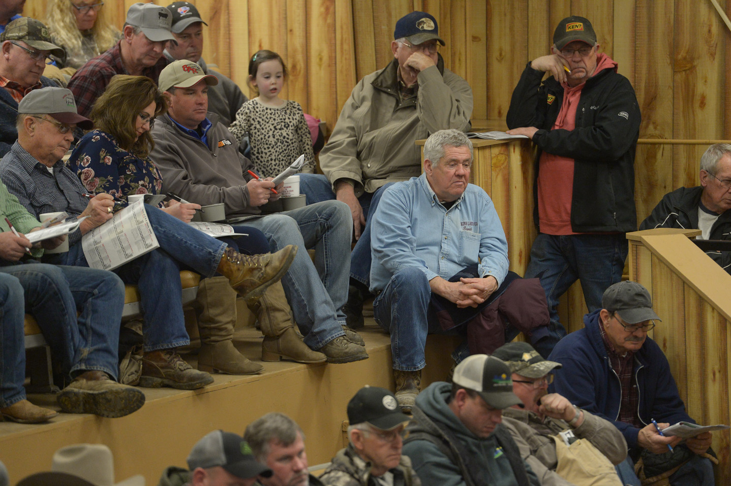 2018 Bull Sale Photo