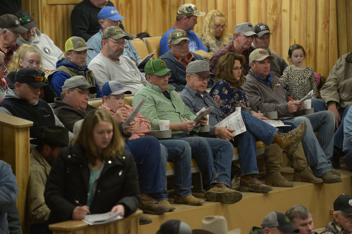 2018 Bull Sale Photo