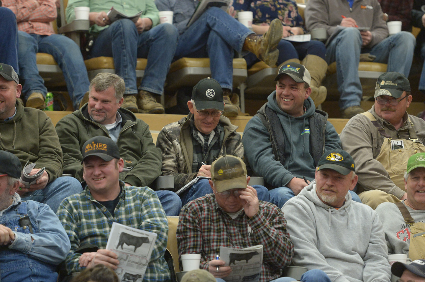 2018 Bull Sale Photo