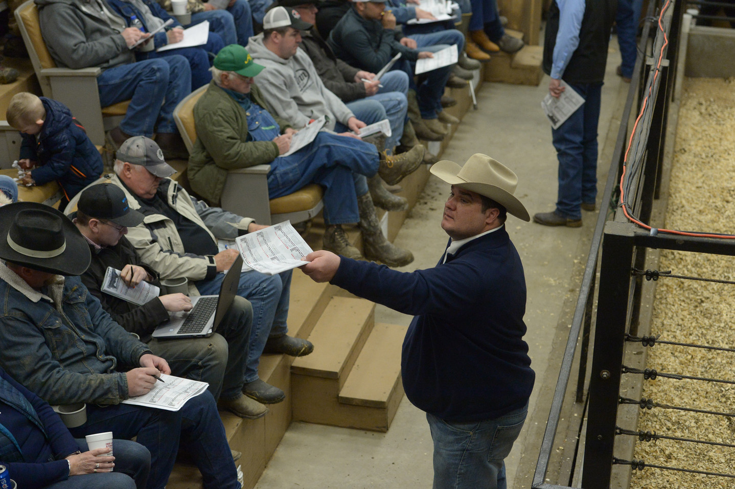 2018 Bull Sale Photo