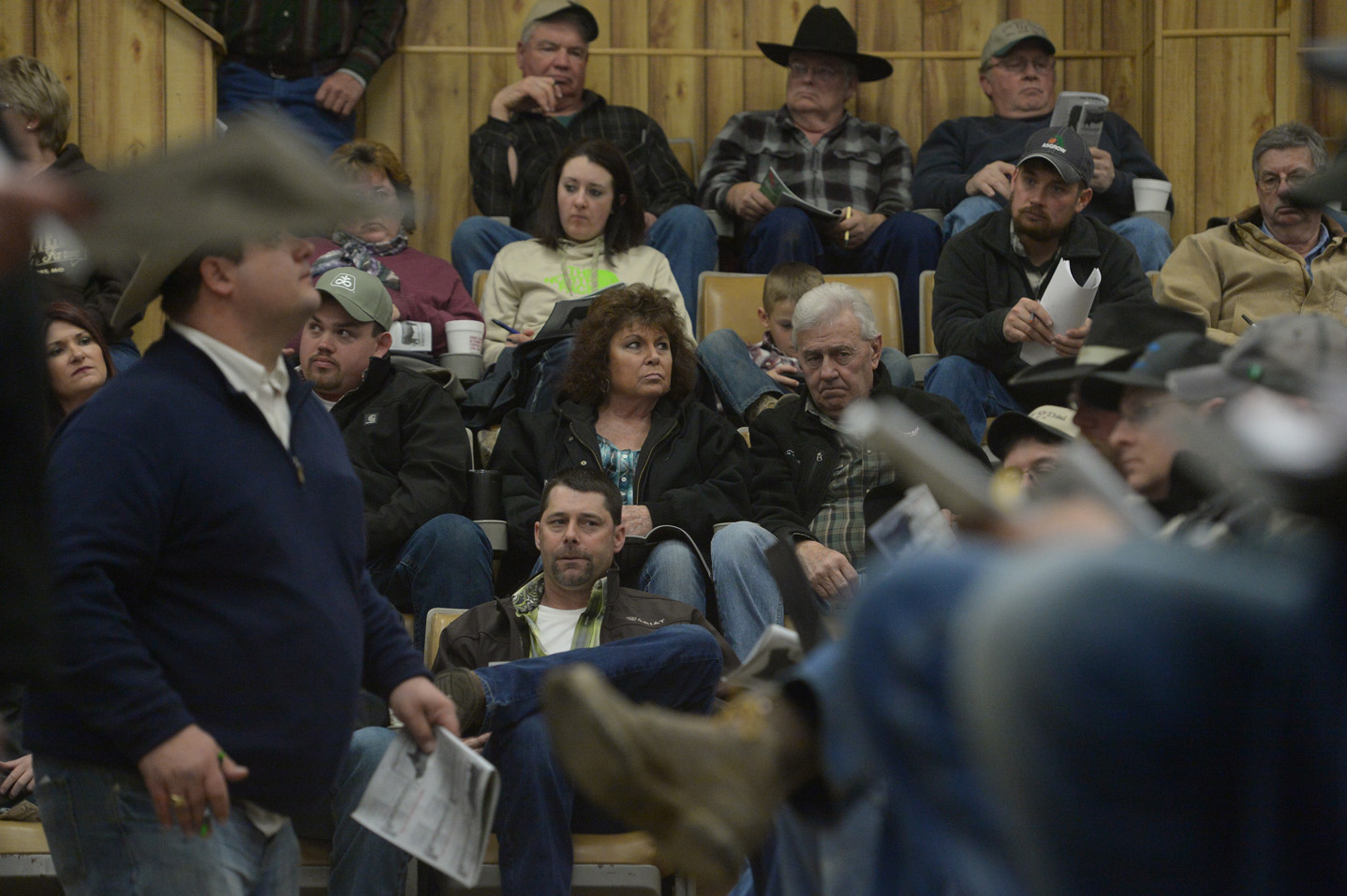 2018 Bull Sale Photo