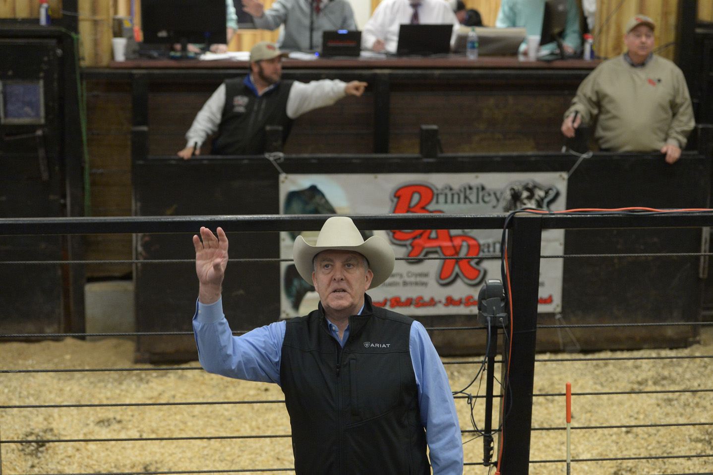 2018 Bull Sale Photo