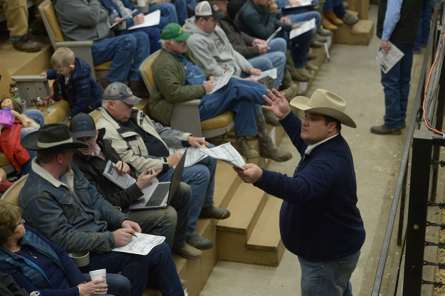 2018 Bull Sale Photo