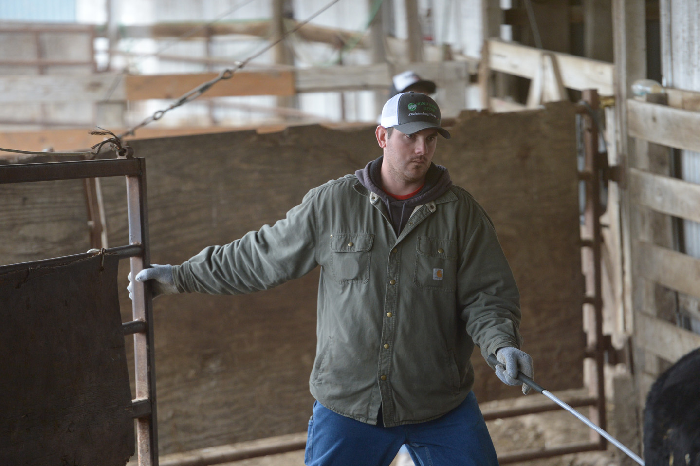 2018 Bull Sale Photo