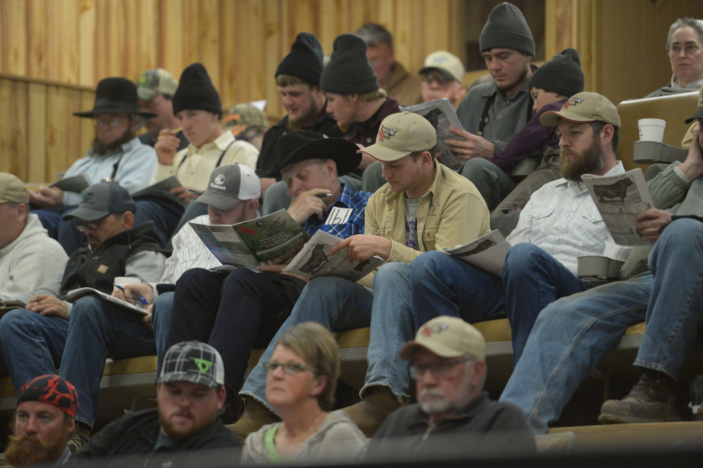 2018 Bull Sale Photo