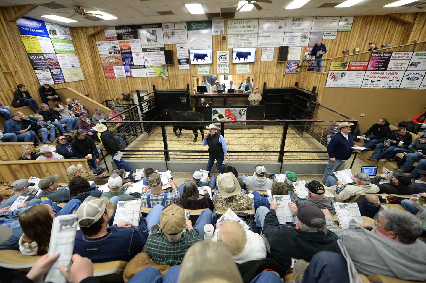 2018 Bull Sale Photo