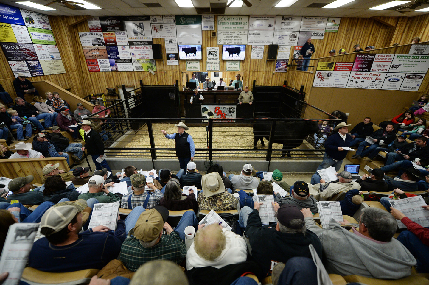 2018 Bull Sale Photo