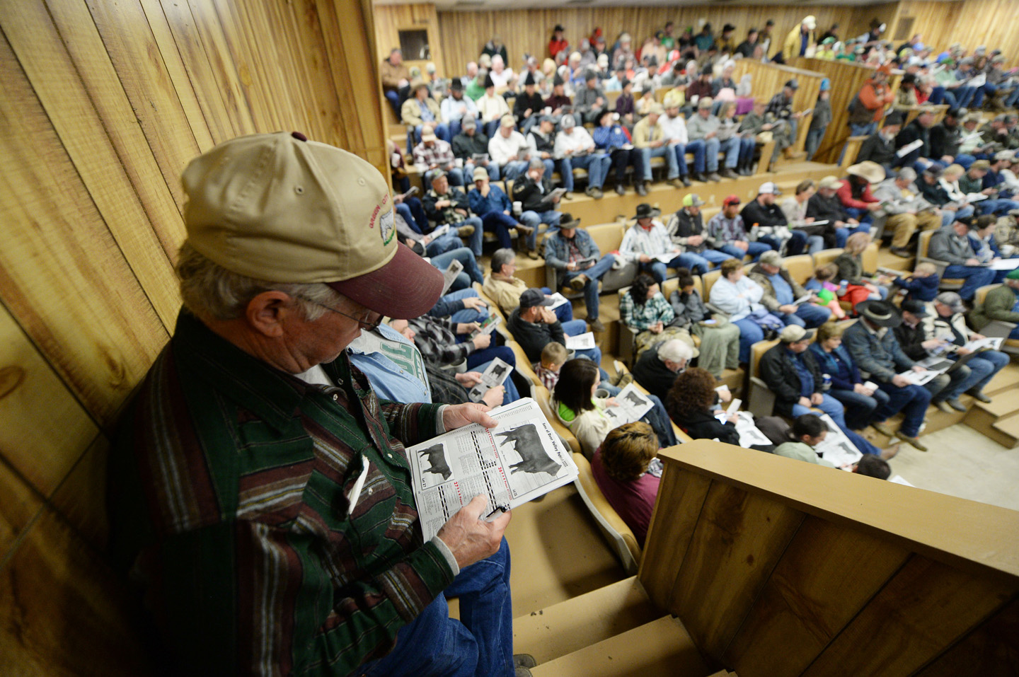 2018 Bull Sale Photo