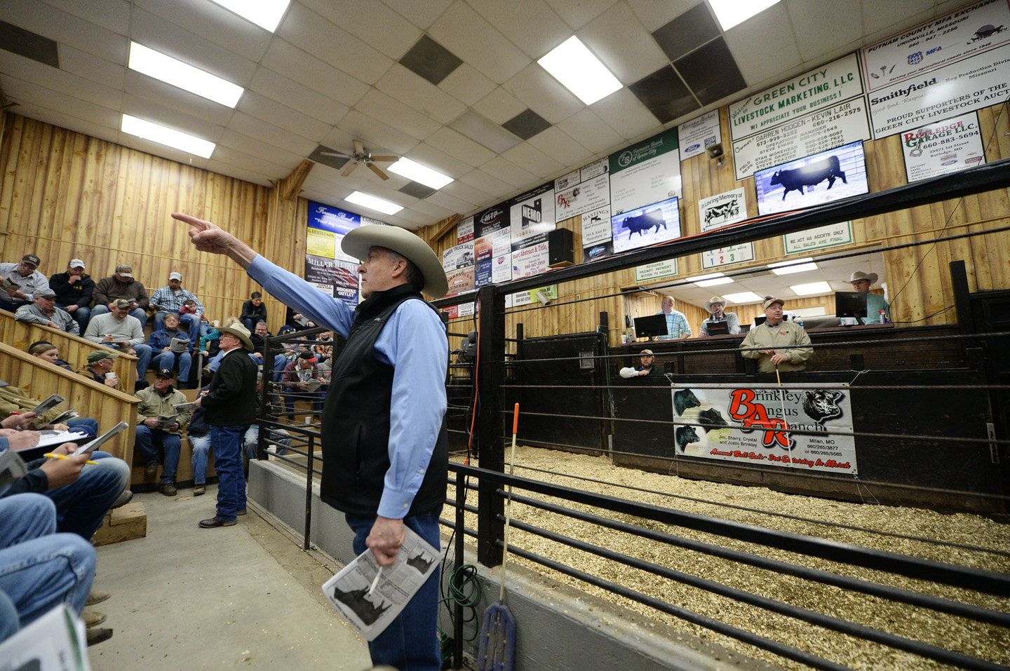 2018 Bull Sale Photo