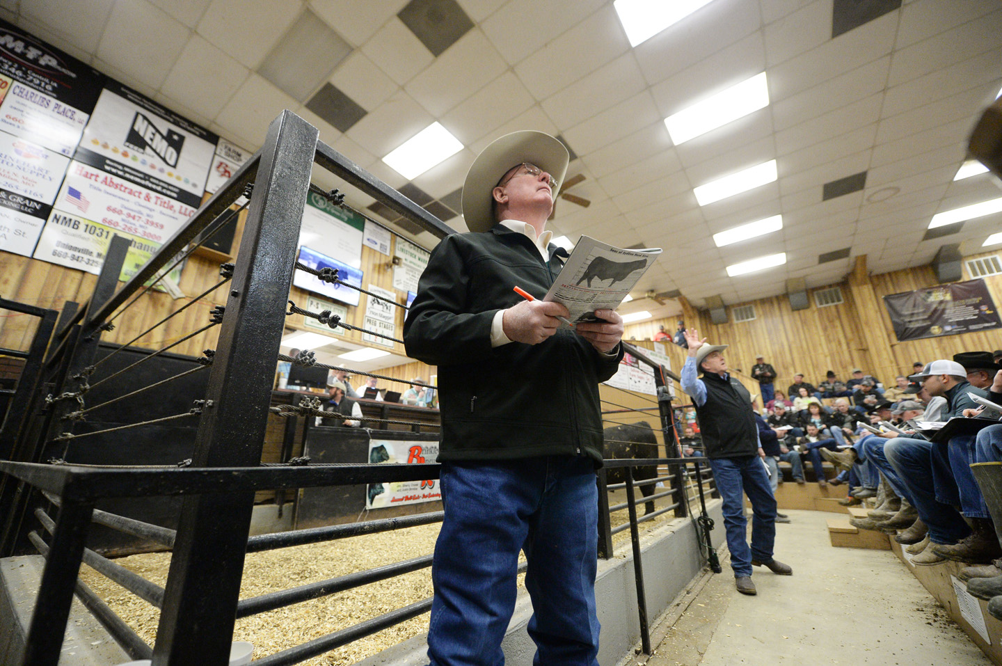 2018 Bull Sale Photo