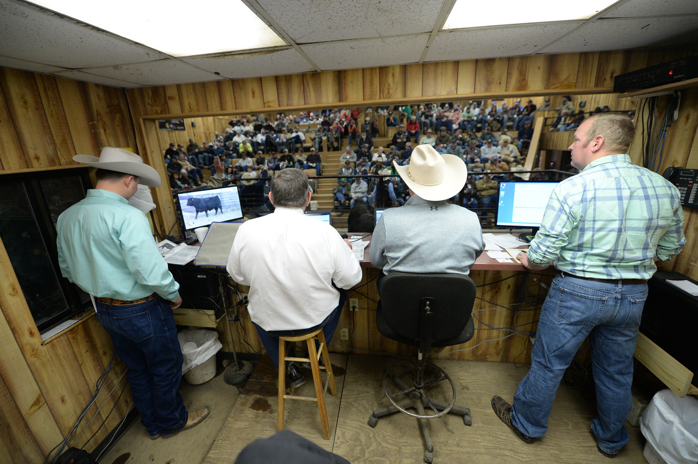 2018 Bull Sale Photo