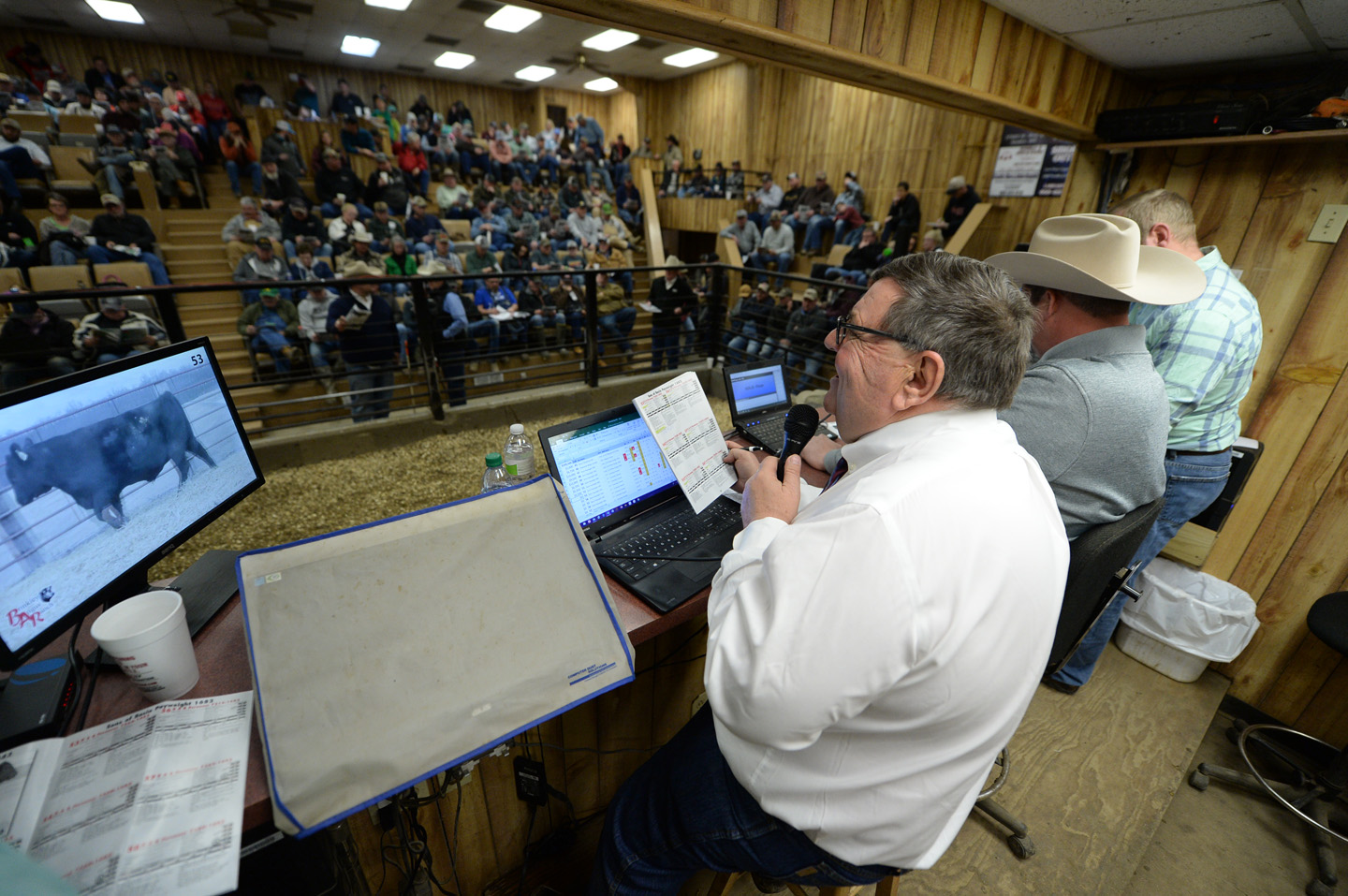 2018 Bull Sale Photo