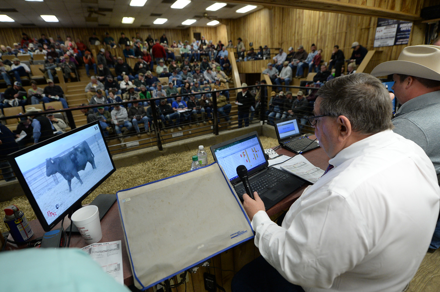 2018 Bull Sale Photo