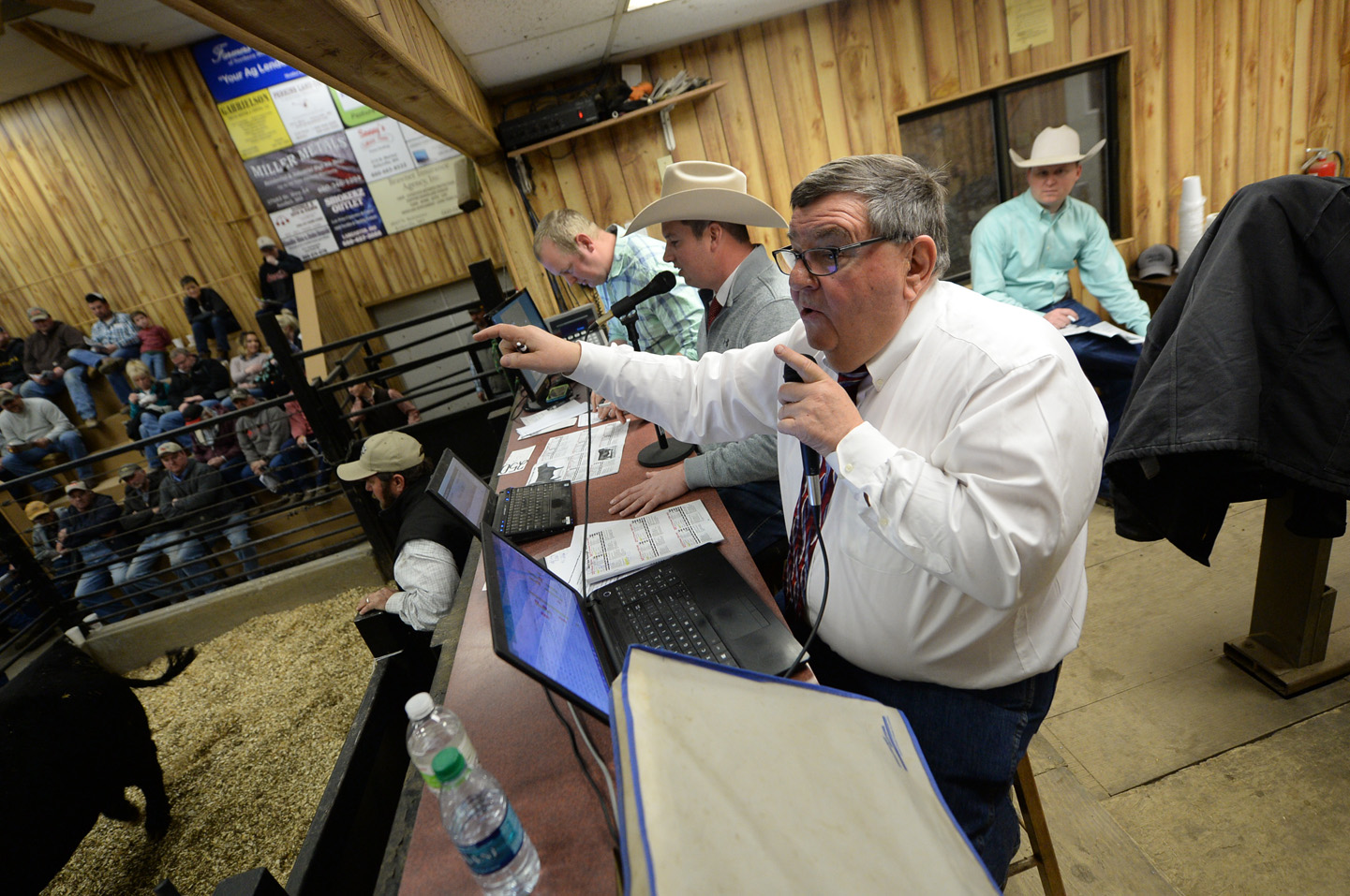 2018 Bull Sale Photo