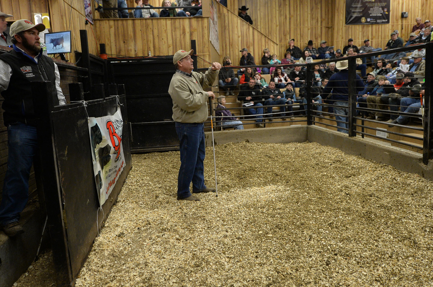 2018 Bull Sale Photo